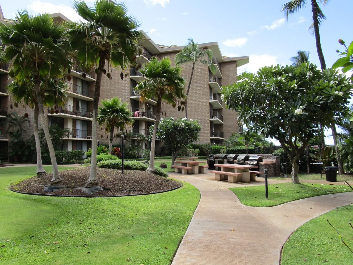 Apartamento Kauhale Makai On The Beach *